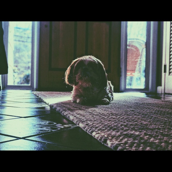 Meet your Posher, Melissa - Picture 3 of 3